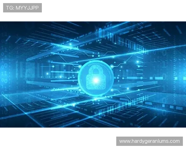 尊龙体育平台安全可靠的账号注册流程保障用户个人信息安全与隐私保护