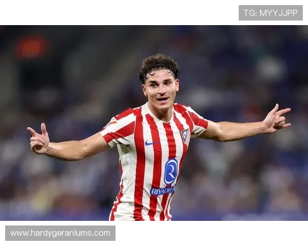 开云体育直播：高清流畅的体育赛事在线观看体验分享