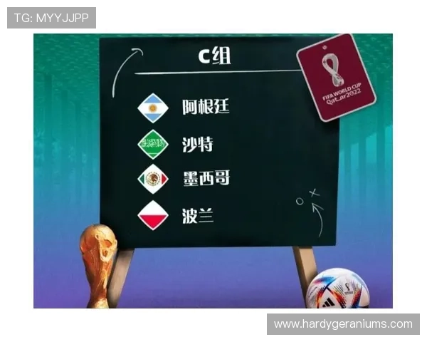 美加墨世界杯球队抽签流程全攻略从准备到抽签结果的详细操作指南