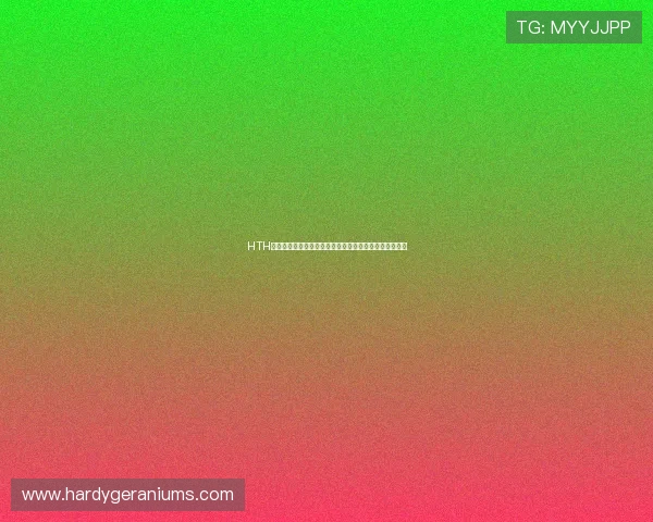 HTH体育真人如何实现高效的资金安全与便捷的充值提现流程